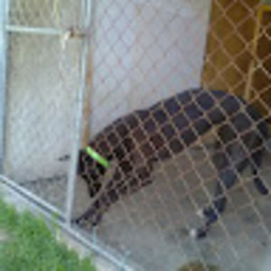 Meet your Posher, Sharon2014